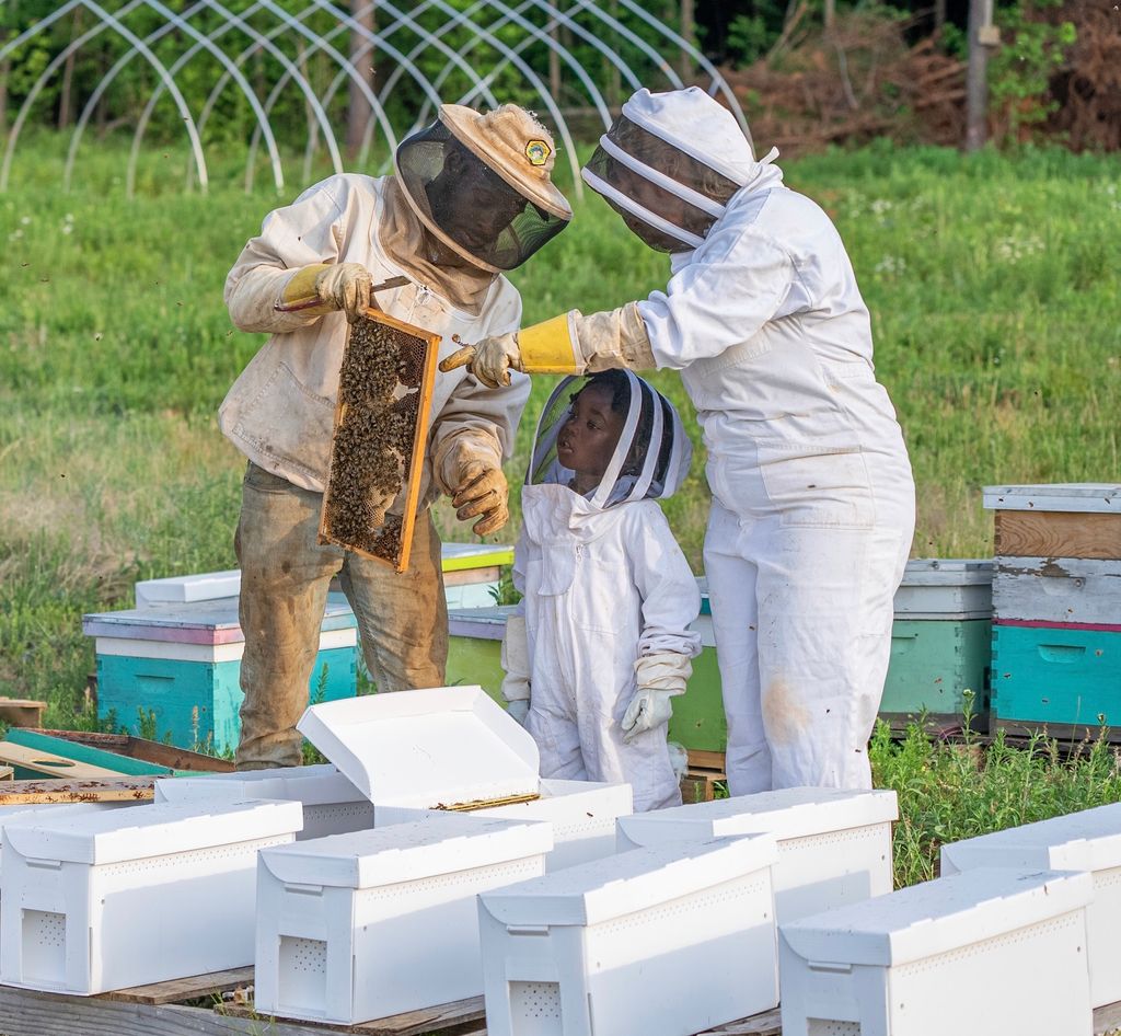 Beekeeper Program