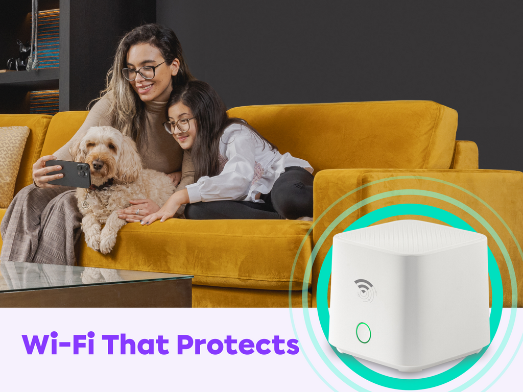 Gamgee: Wi-Fi Home Alarm That Protects You 