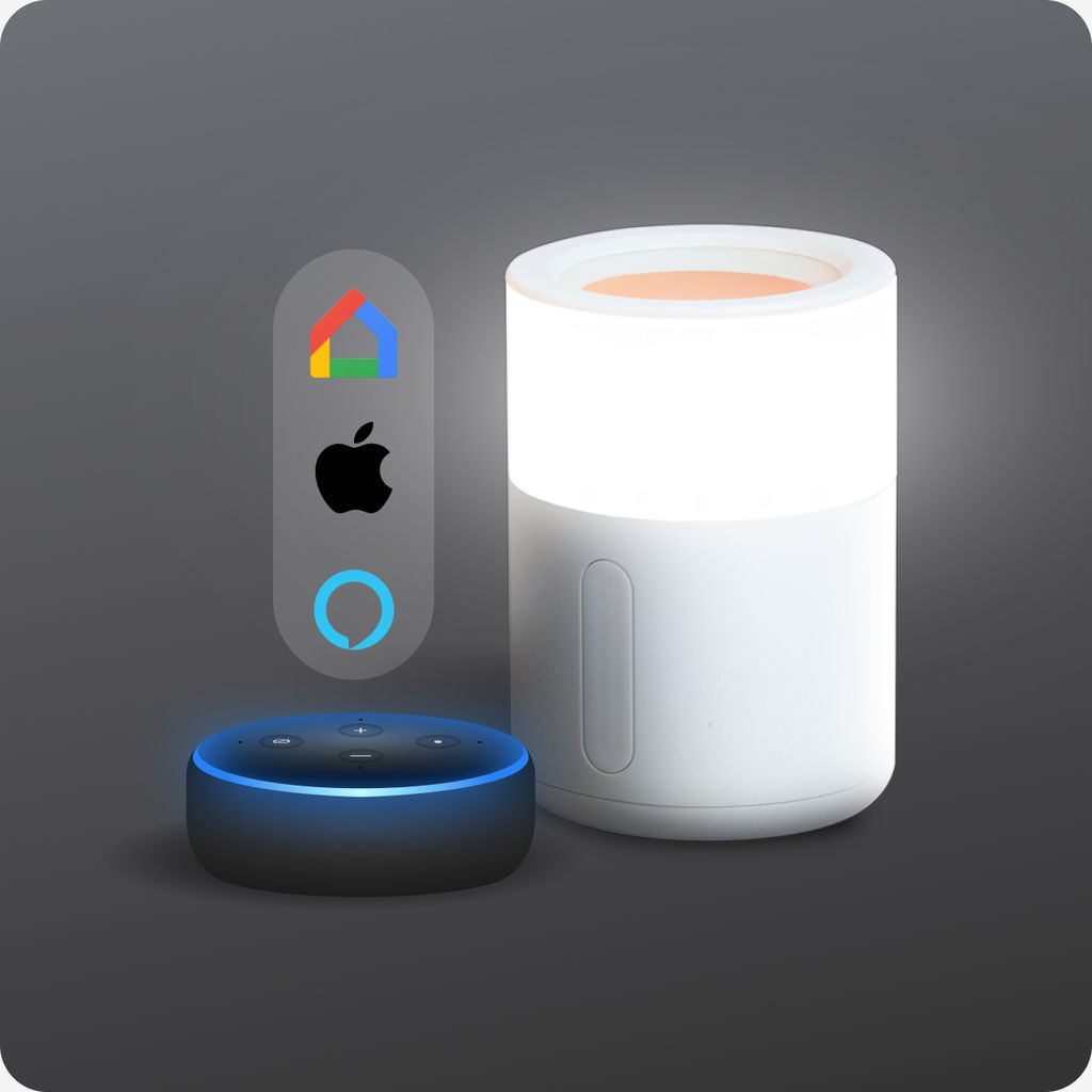 Smart Home Ready