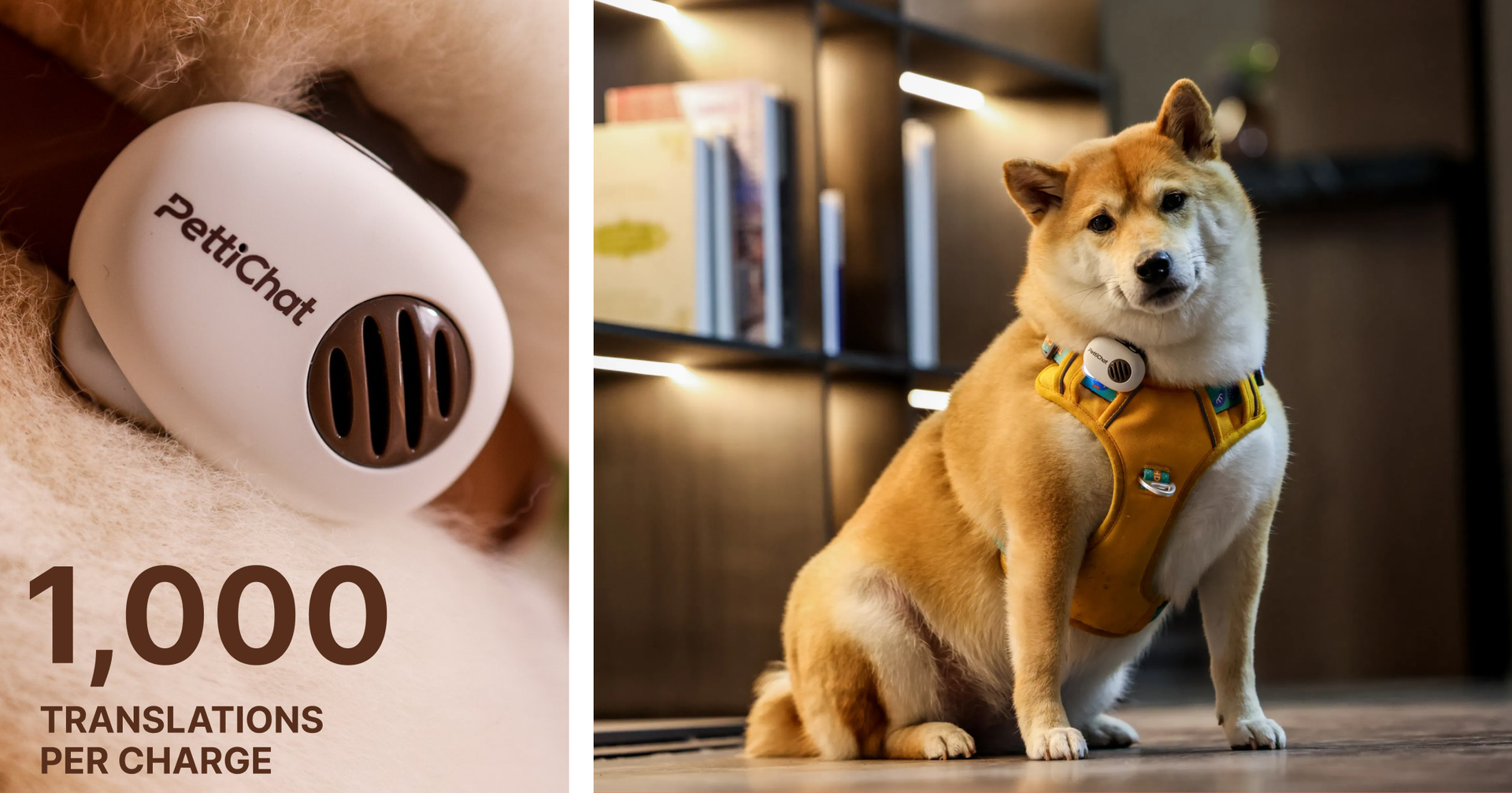 Ready for Even the Longest Barking Sessions