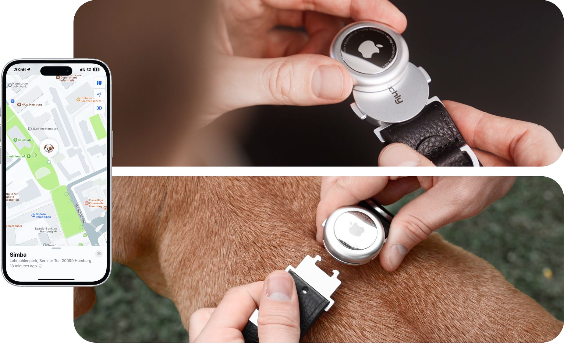 Always Know Where Your Dog Is - In Sleek Style