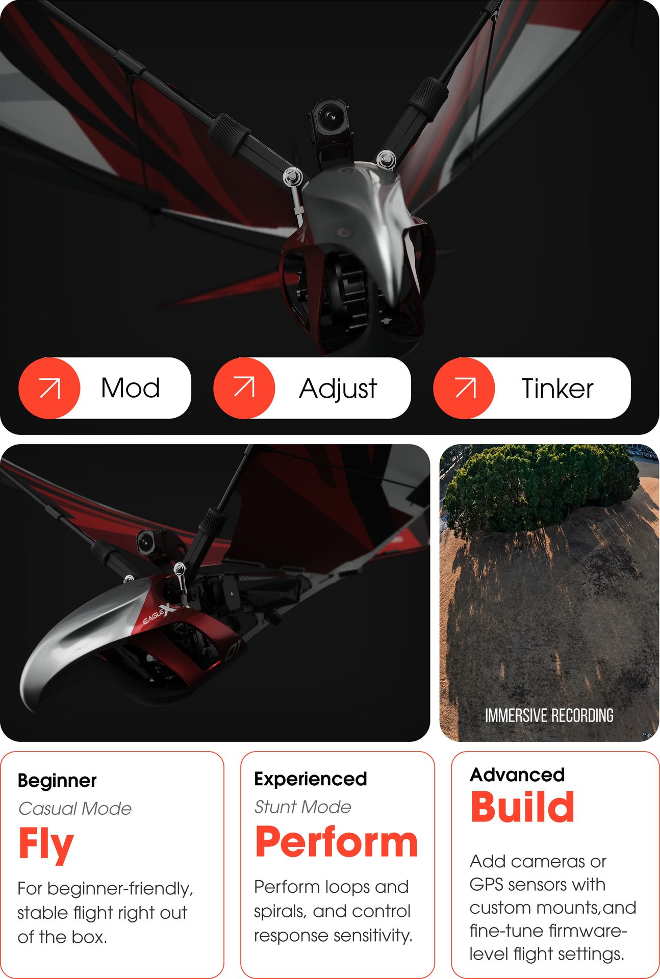 Engineer Every Wingbeat