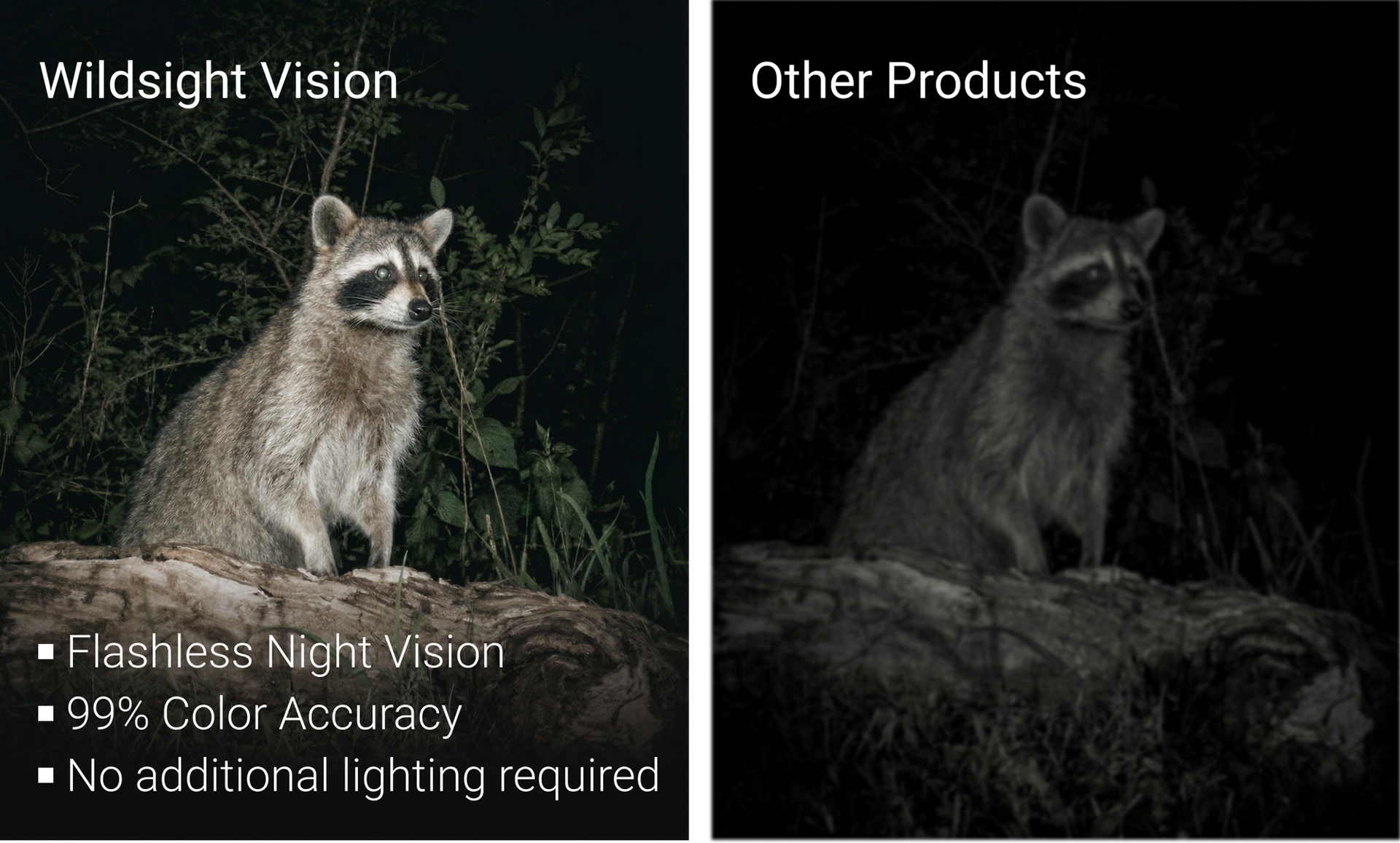 See True Nocturnal Behavior in Full Color