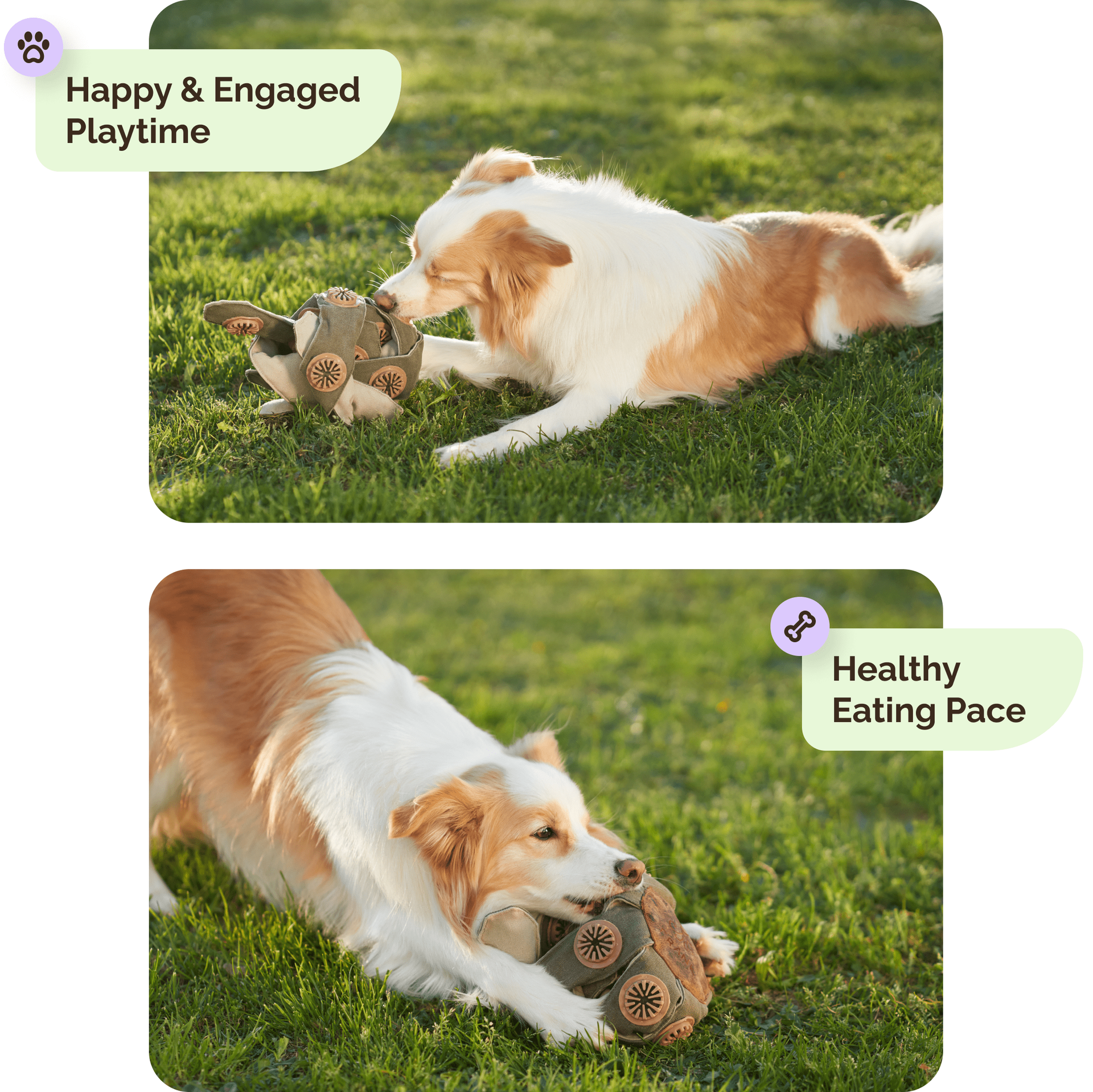 Tired of the Pacing and the Chewing?