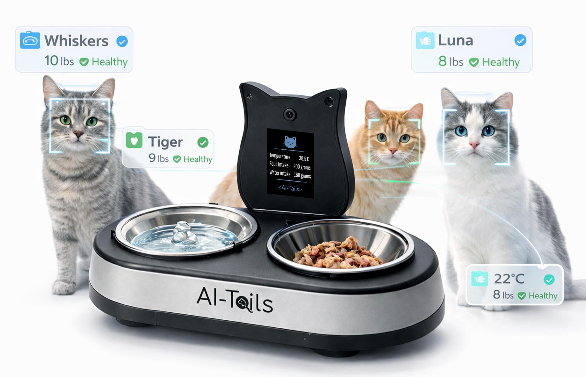 1 Station for All Your Cats