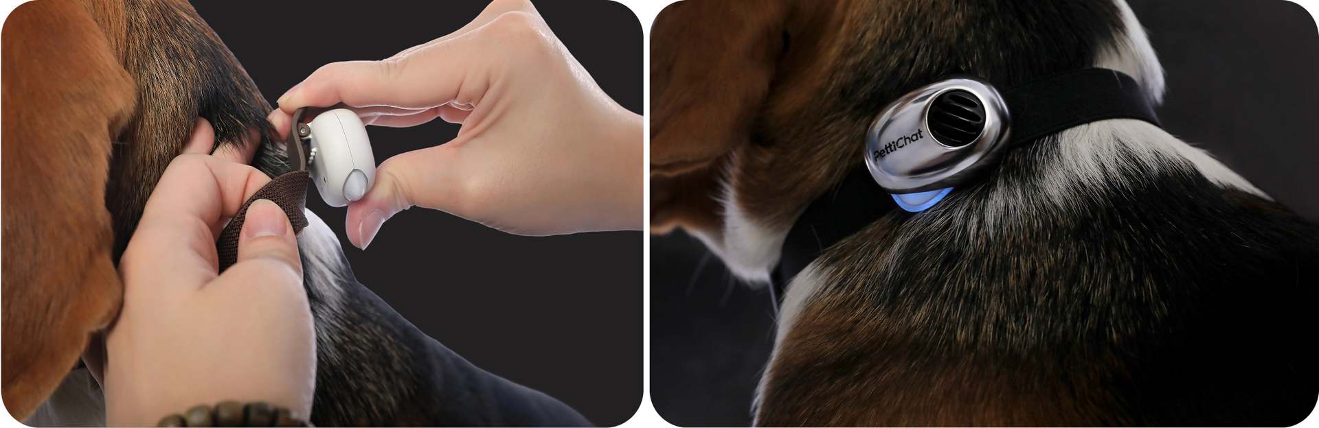 Gets Better and Better Over Time