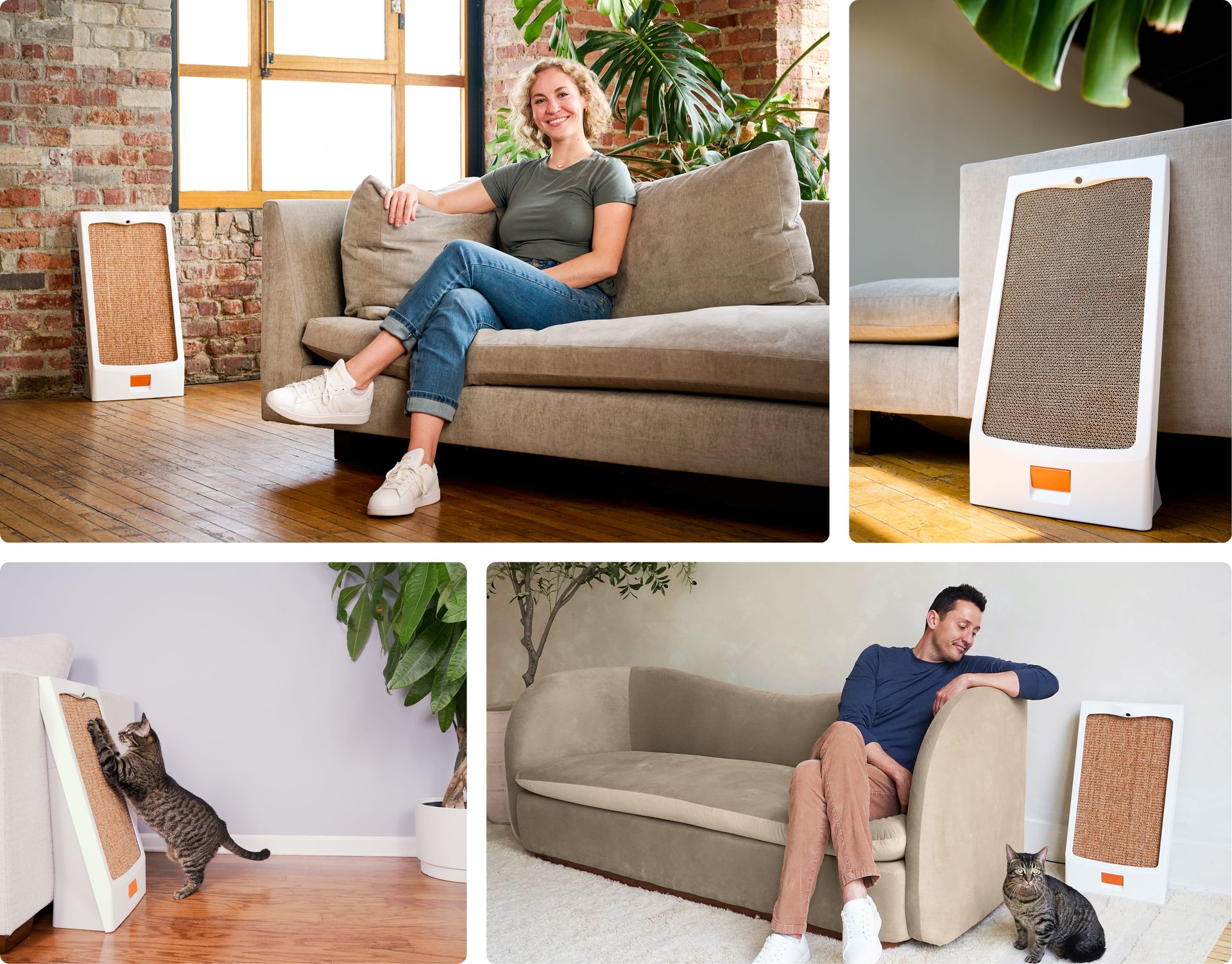 Built for Your Cat. Designed for Your Home.