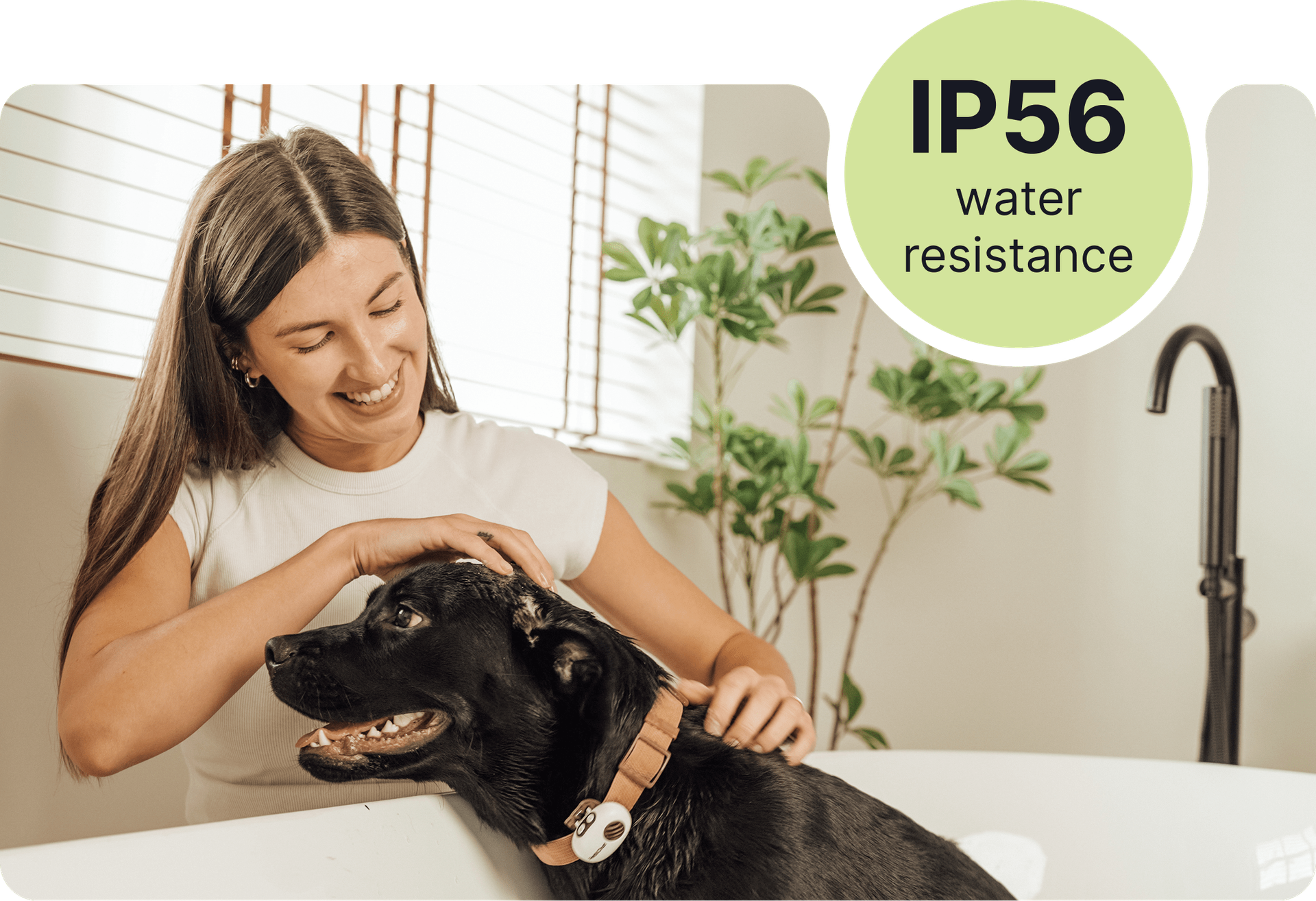 Paw-Proof, Weather-Proof, Everything-Proof.