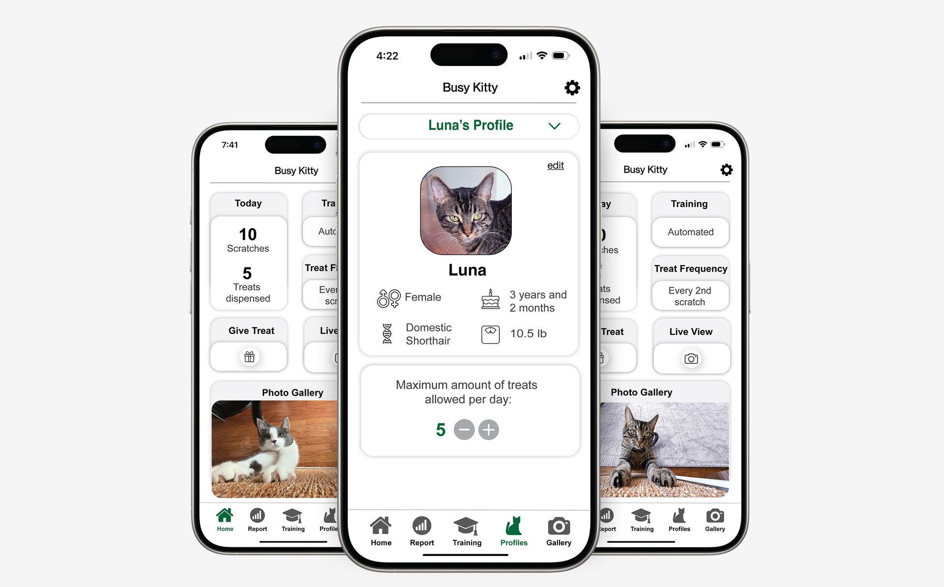 Personalized Training for Every Cat