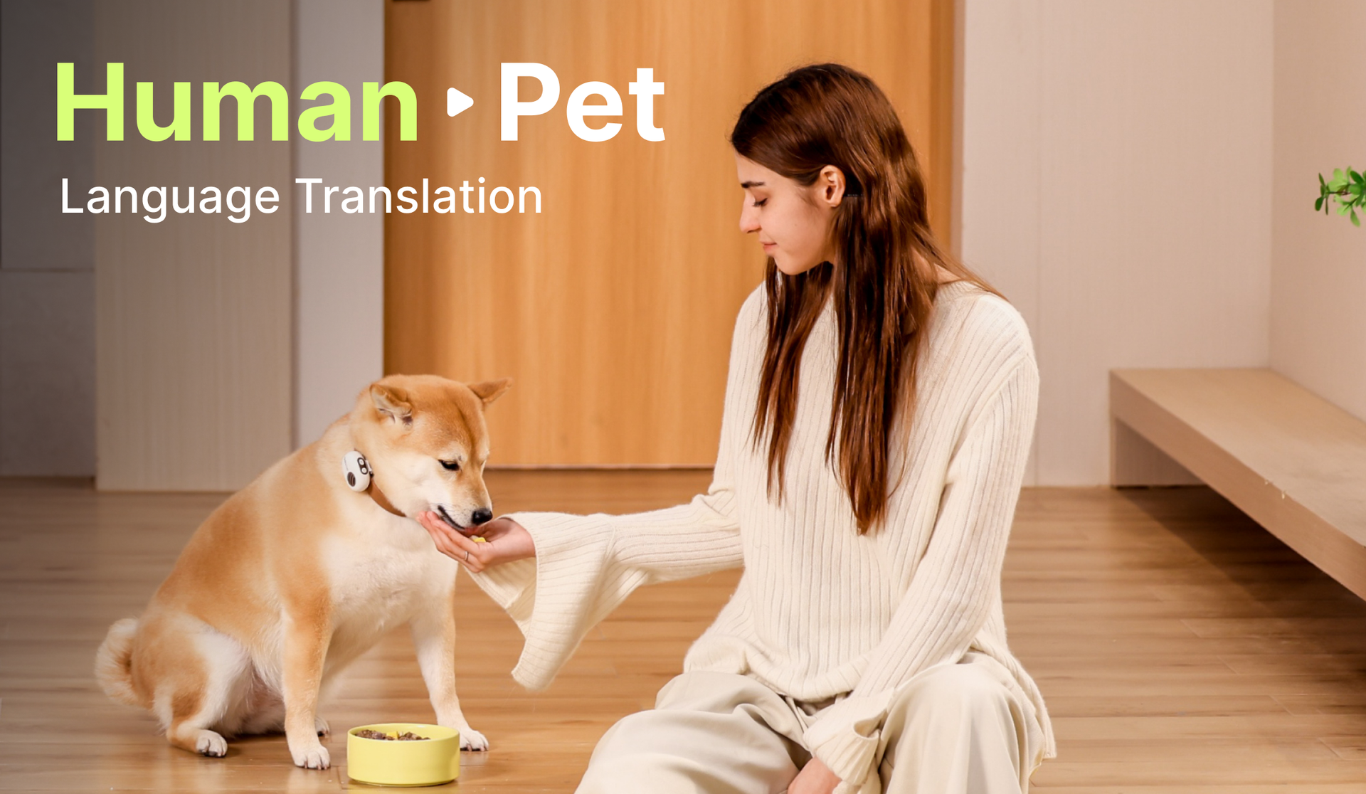 Your Pet Will Understand You Better, Too!