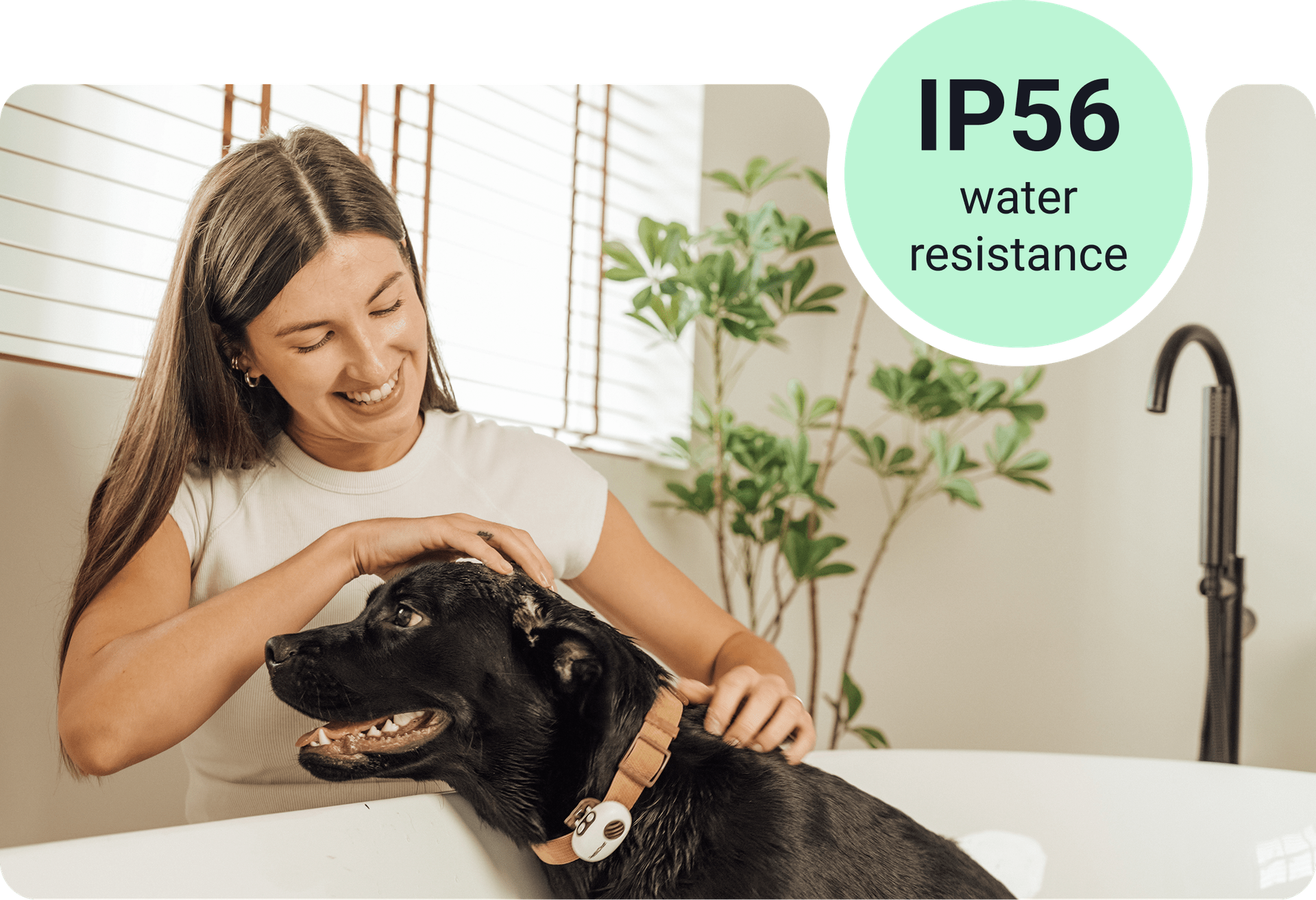 Paw-Proof, Weather-Proof, Everything-Proof.