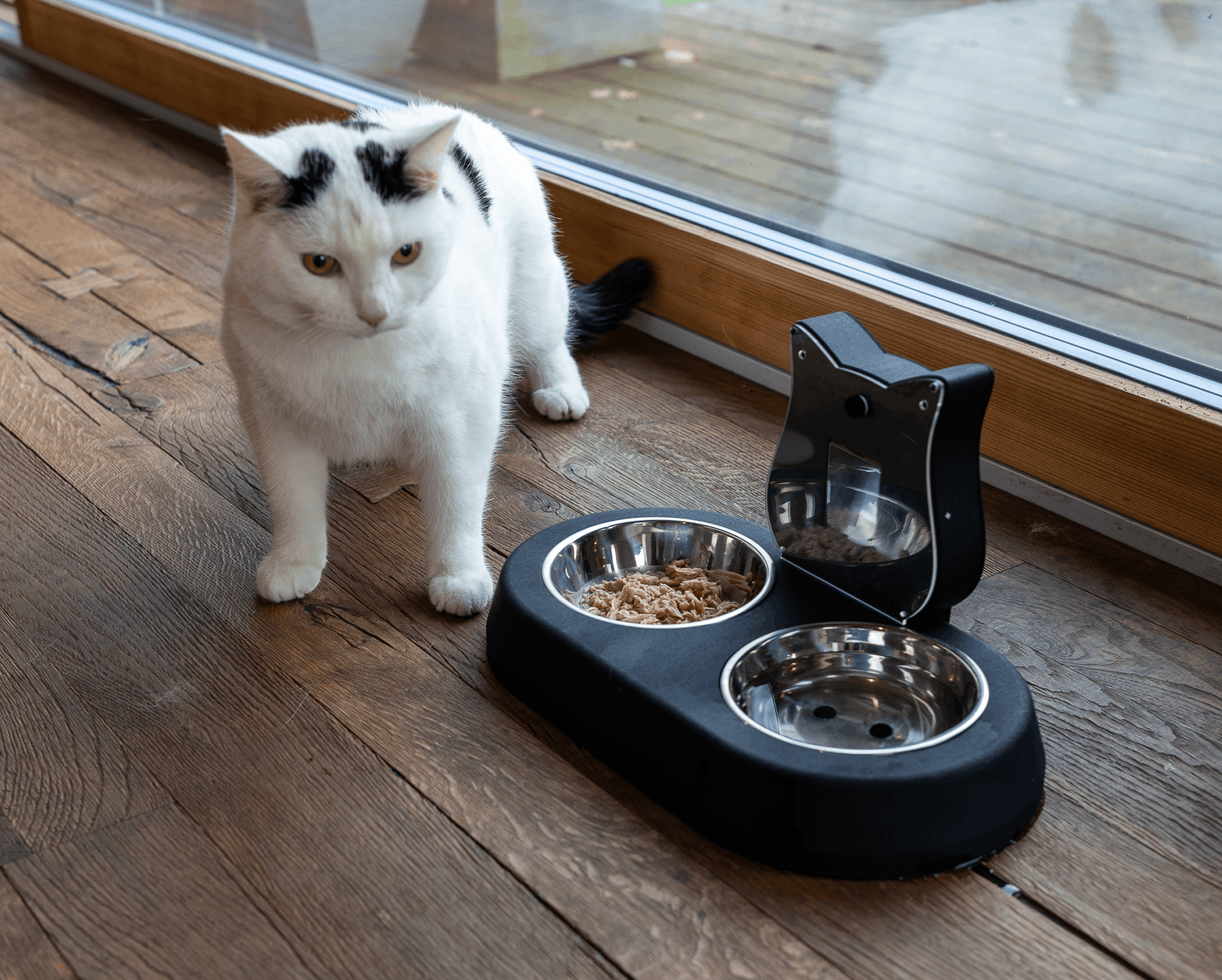 Send Reports Straight to the Vet