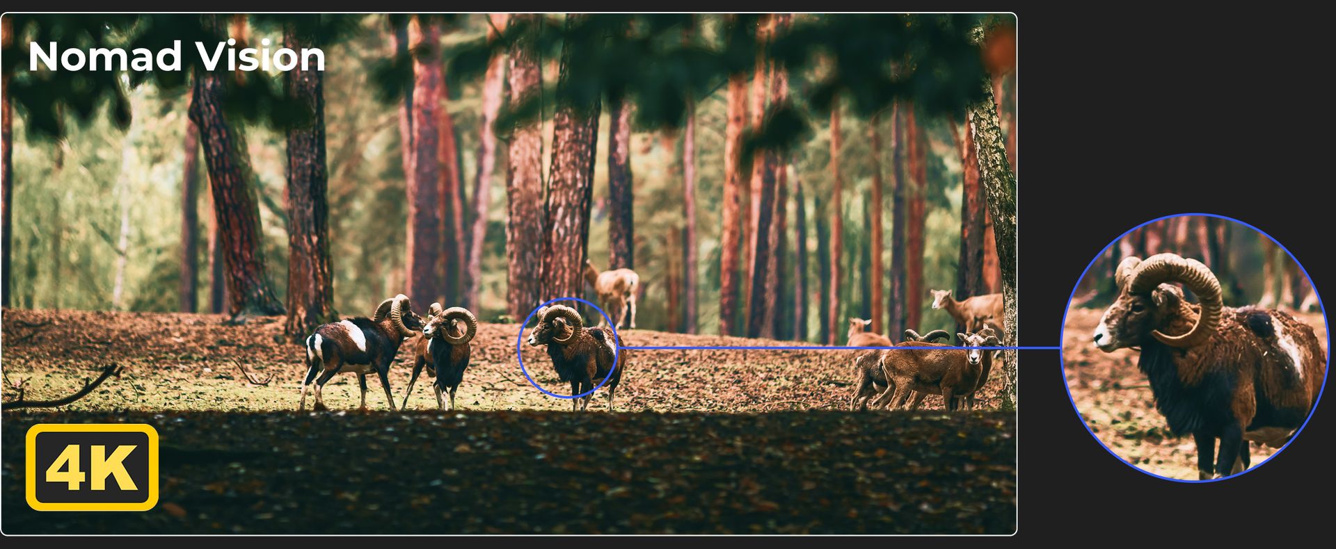 Capture Every Detail in 4K