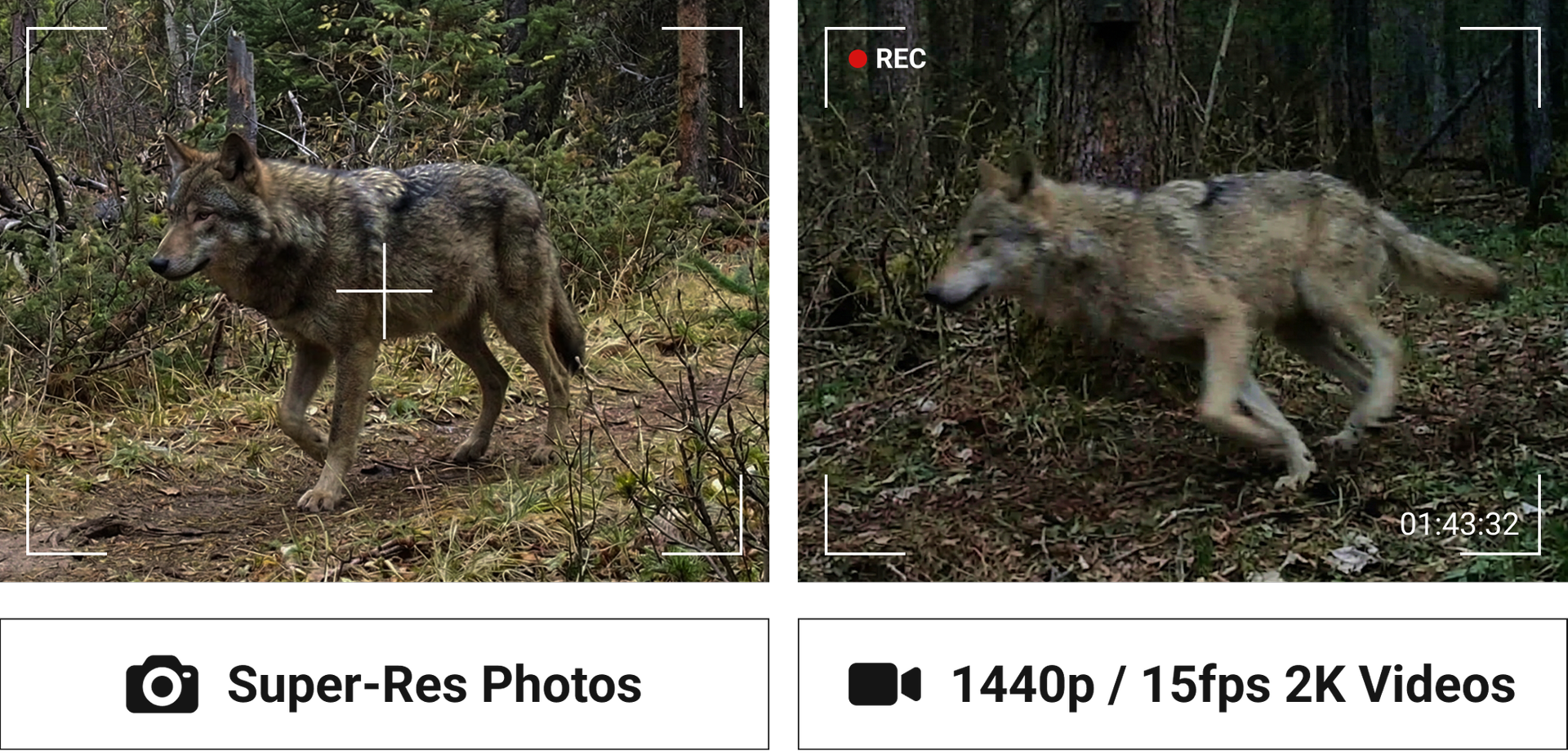 View Each Detail in Extreme Clarity