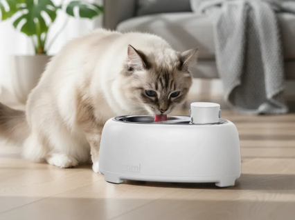 slider gallery image