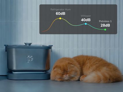 slider gallery image