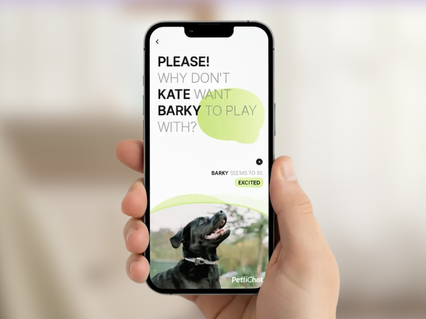 slider gallery image