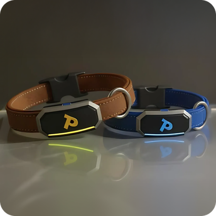 See Your Dog, Even in the Dark