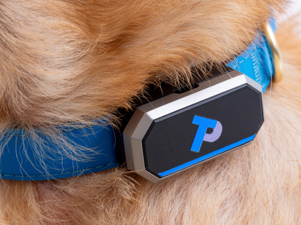 slider gallery image