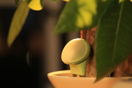 slider gallery image