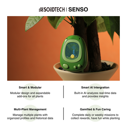 slider gallery image