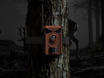 slider gallery image