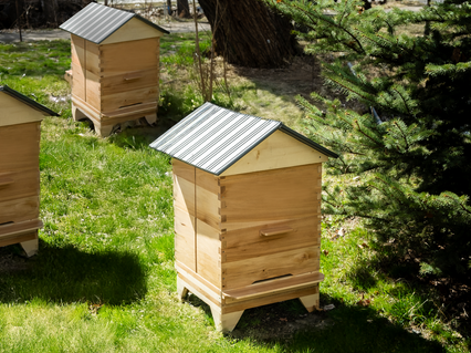 slider gallery image