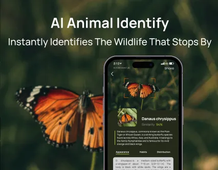 slider gallery image