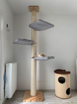 Why Choose Our Cat Tree Tower?