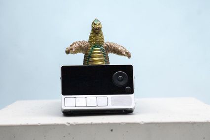 slider gallery image