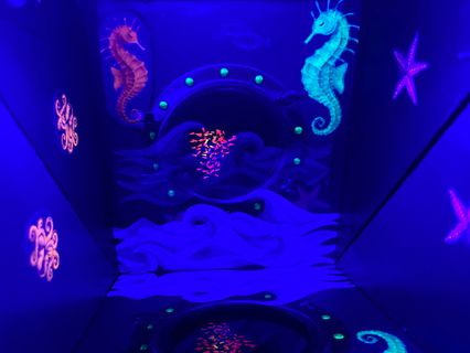 slider gallery image