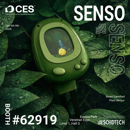 slider gallery image