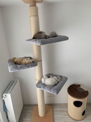 Why Choose Our Cat Tree Tower?