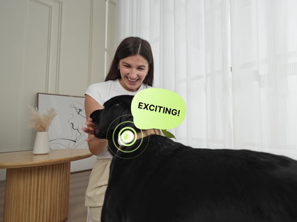 slider gallery image