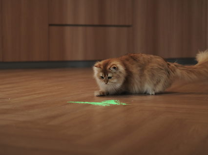 slider gallery image