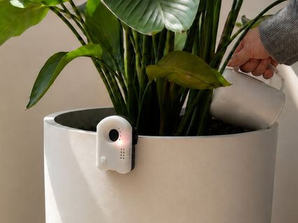 slider gallery image