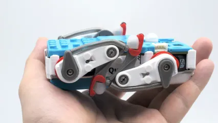 slider gallery image