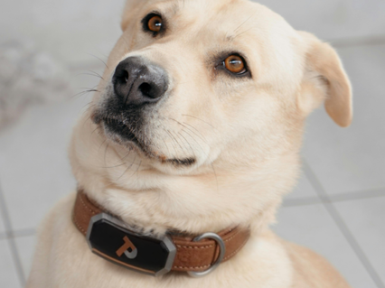 slider gallery image