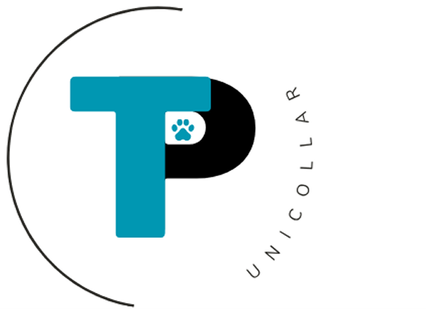 TechPup: The AI Collar That Trains, Tracks & Protects