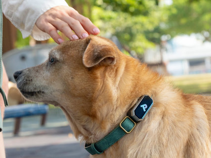 slider gallery image