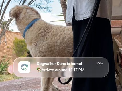 slider gallery image