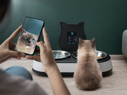 slider gallery image