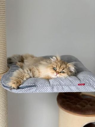 Stability Meets Adventure