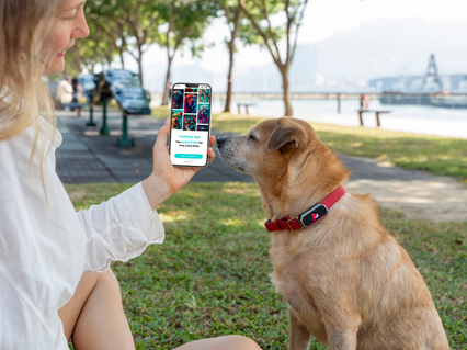 slider gallery image