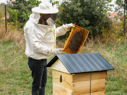 slider gallery image