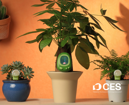 slider gallery image