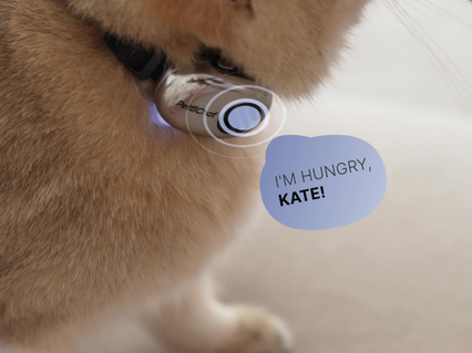 slider gallery image