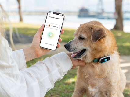 slider gallery image