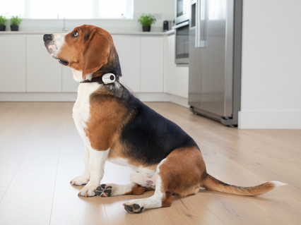 slider gallery image