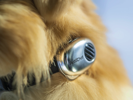 slider gallery image